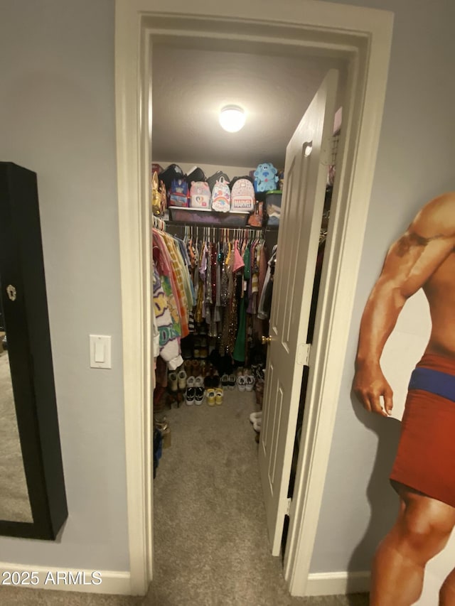 walk in closet with carpet floors