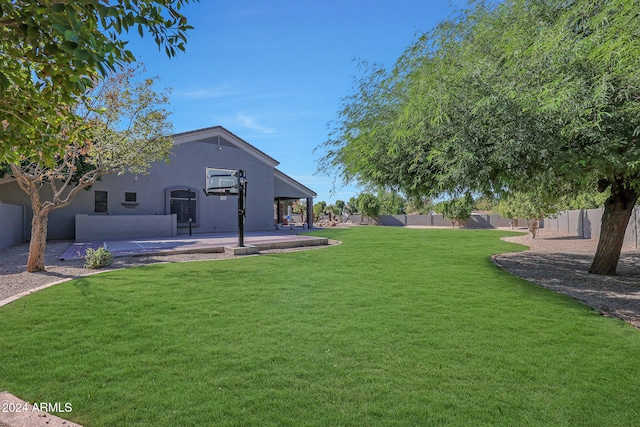 view of yard featuring a patio