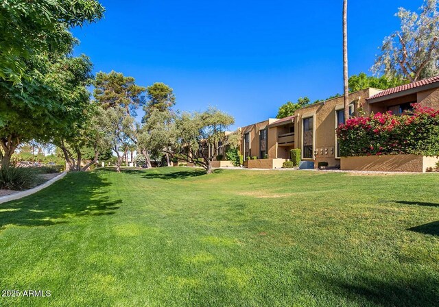 8500 E Indian School Rd Unit 233, Scottsdale, AZ 85251 - view of grassy yard