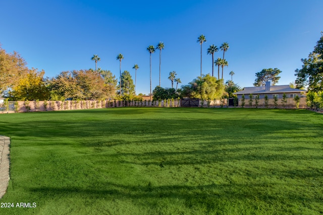 view of yard