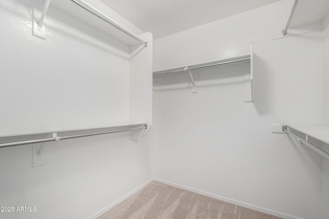 spacious closet featuring light colored carpet