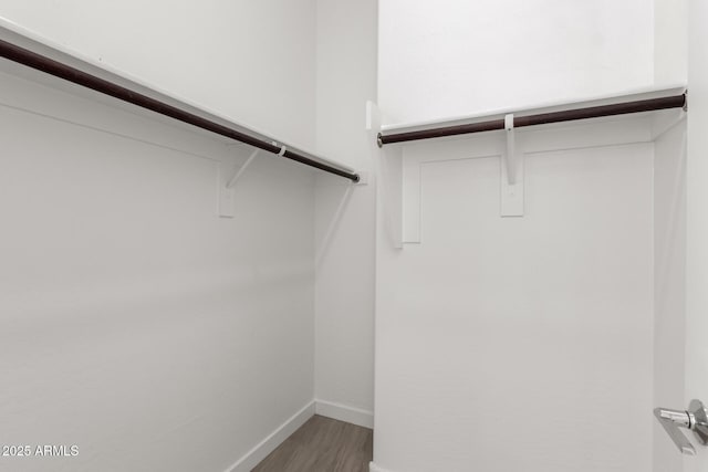 spacious closet featuring wood-type flooring