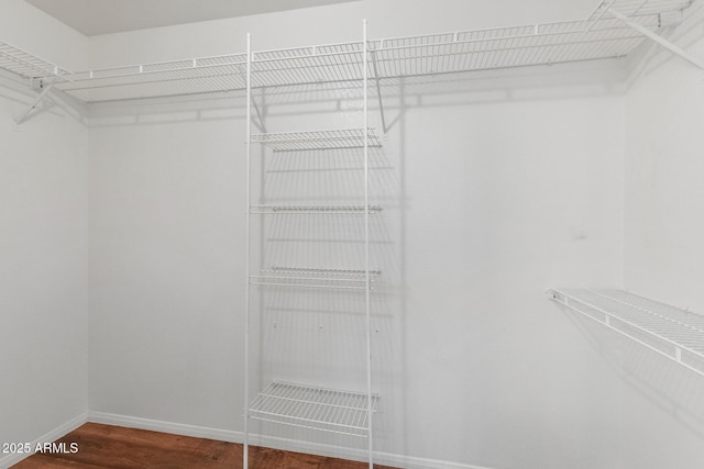 1425 E Commerce Ave, Gilbert, AZ 85234 - spacious closet featuring wood finished floors