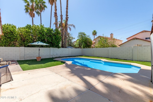 1425 E Commerce Ave, Gilbert, AZ 85234 - view of swimming pool featuring a patio and a fenced backyard