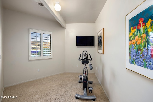 workout area featuring carpet flooring