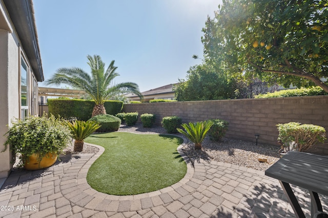 view of yard featuring a patio area and a fenced backyard