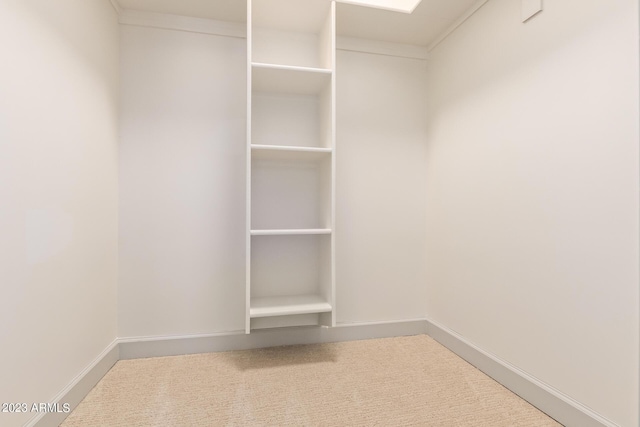 walk in closet with carpet