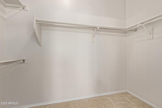 walk in closet with light colored carpet