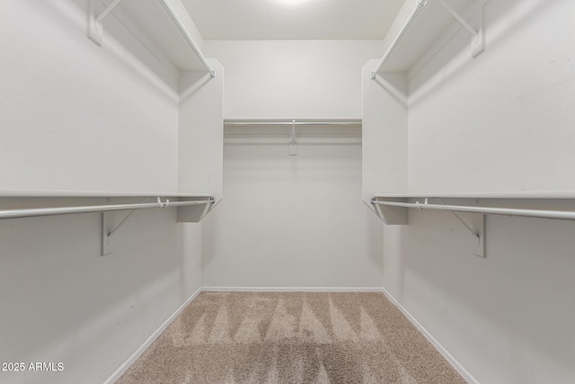 walk in closet with carpet floors