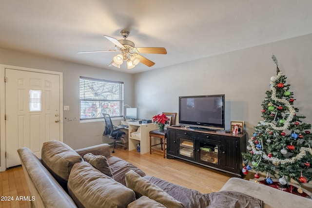 living room featuring ceiling fan and light hardwood / wood-style floors