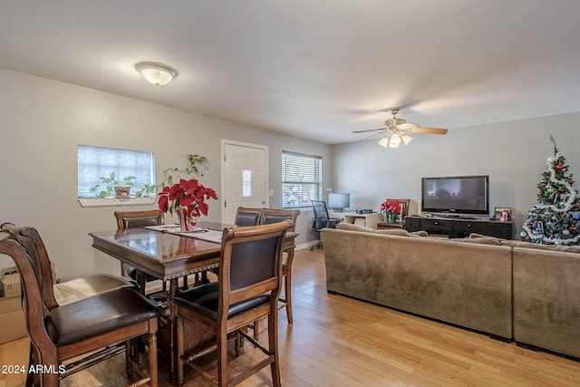 dining space with ceiling fan and light hardwood / wood-style flooring