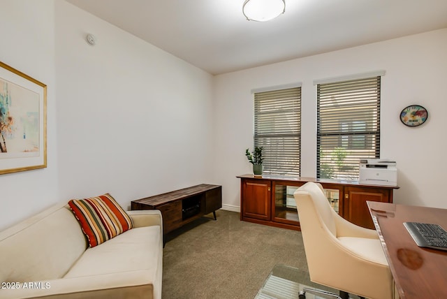 office featuring carpet floors