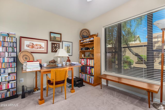 view of carpeted office space