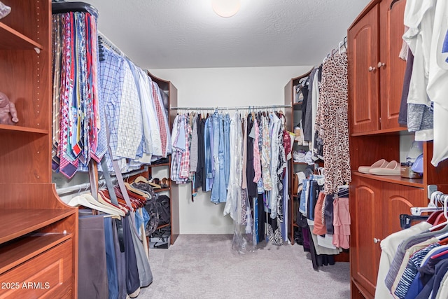 walk in closet featuring light carpet