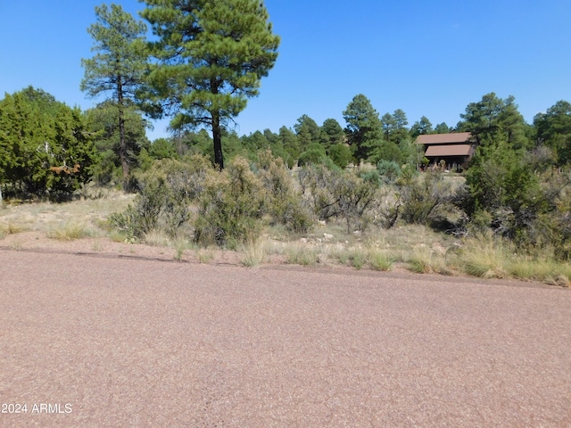 Listing photo 2 for 2789 Skyhawk Dr Unit 82, Overgaard AZ 85933