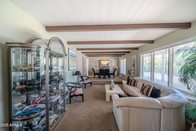carpeted living area featuring beam ceiling