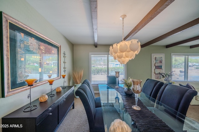 dining room featuring beam ceiling, carpet floors, and a healthy amount of sunlight