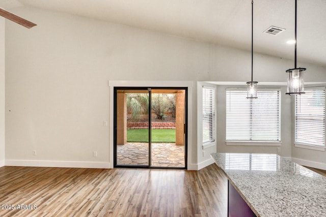 interior space featuring light hardwood / wood-style floors, vaulted ceiling, and a wealth of natural light