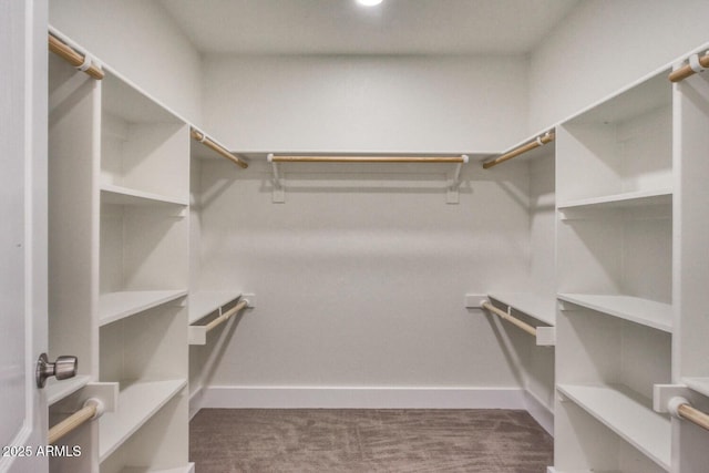 spacious closet with carpet flooring