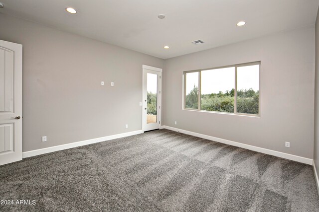 carpeted empty room featuring a healthy amount of sunlight