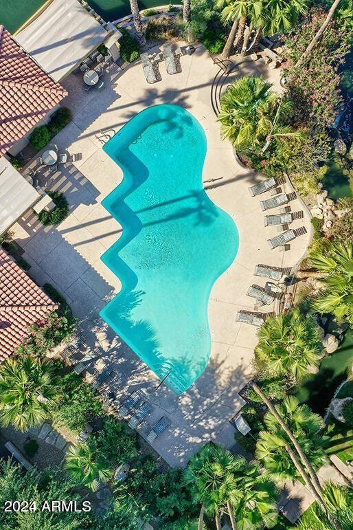 view of pool featuring a patio