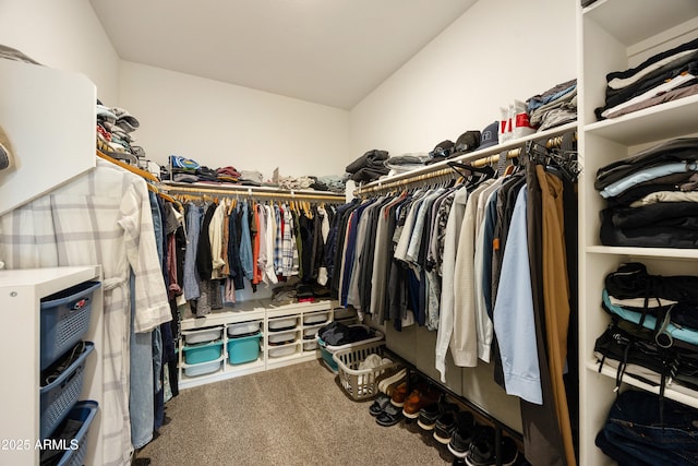 walk in closet featuring carpet floors