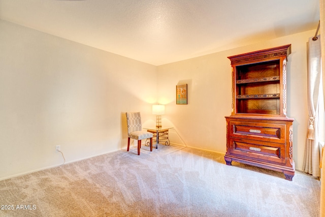 living area featuring light colored carpet