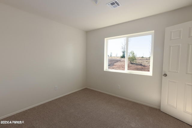 spare room featuring carpet floors