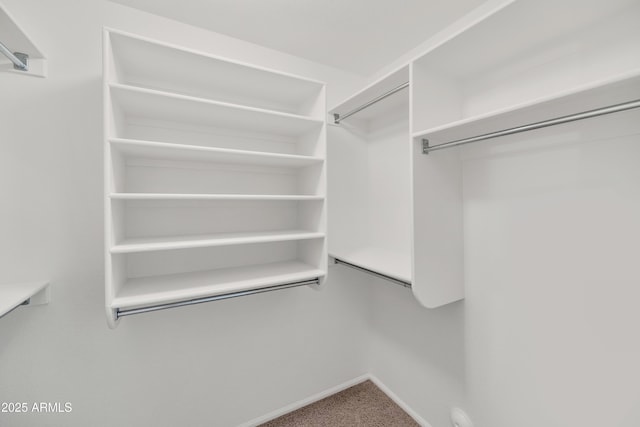 walk in closet with carpet flooring