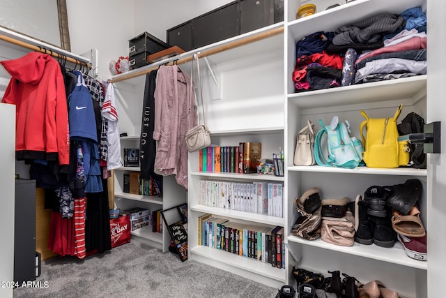 spacious closet featuring carpet flooring