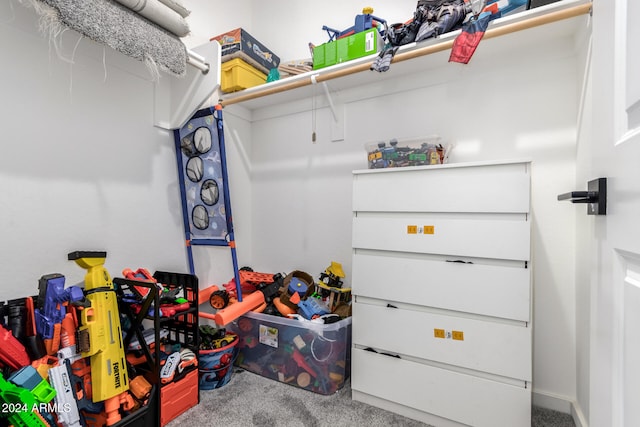 spacious closet featuring carpet