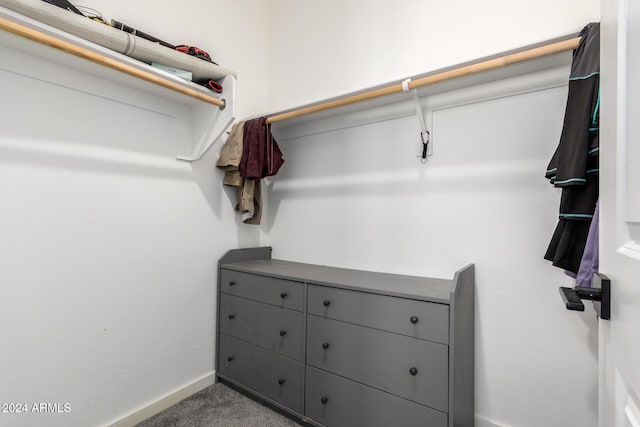 walk in closet featuring carpet floors