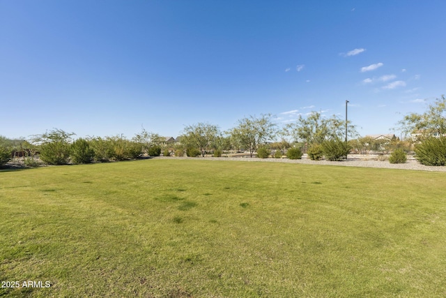 21228 N 58th St, Phoenix, AZ 85054 - view of green lawn