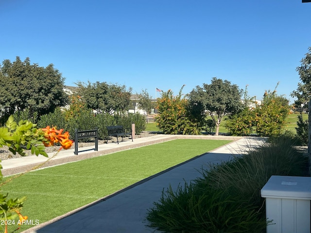 view of home's community with a lawn