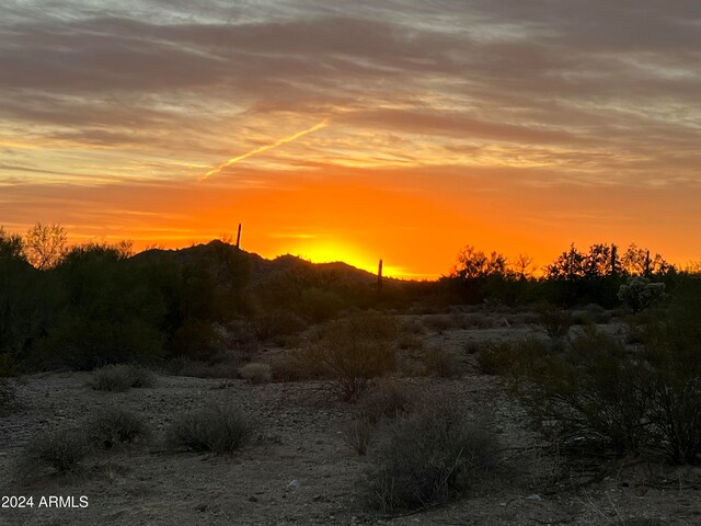 view of nature at dusk