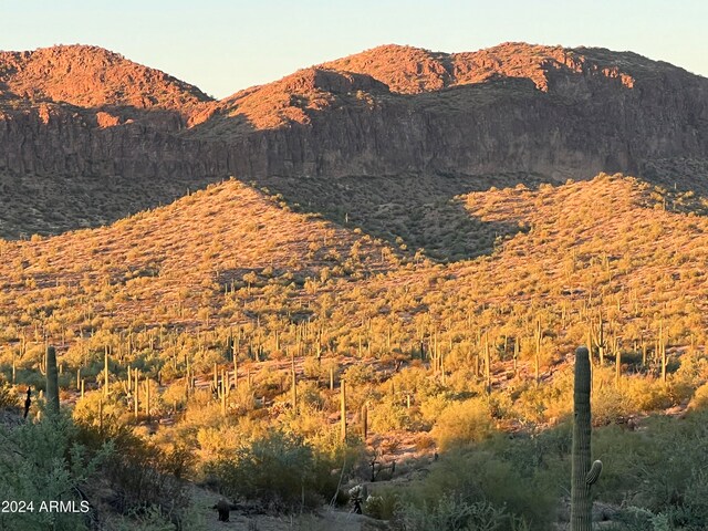 view of mountain feature