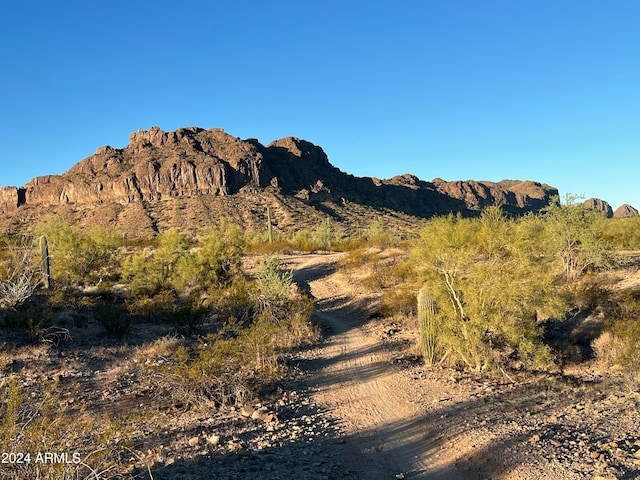 view of mountain feature