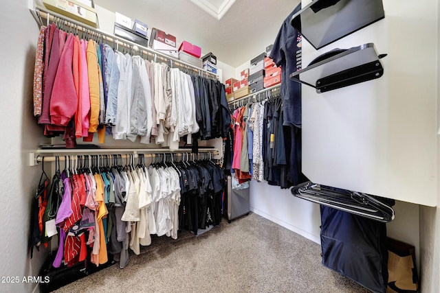 2716 W Sunland Ave, Phoenix, AZ 85041 - walk in closet featuring carpet
