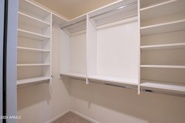 walk in closet featuring carpet flooring