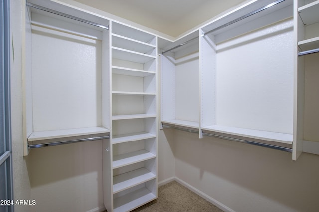 walk in closet featuring carpet floors