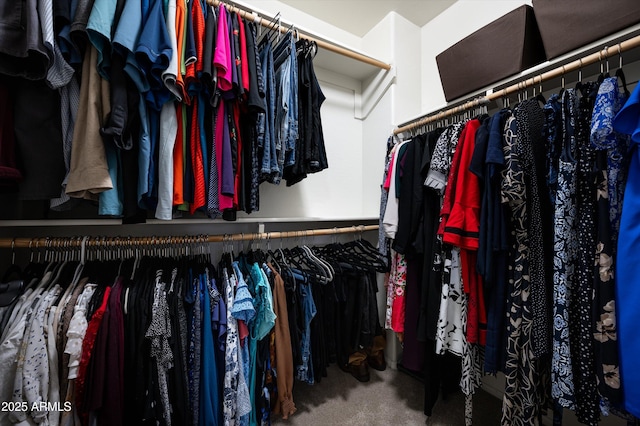 spacious closet featuring carpet flooring