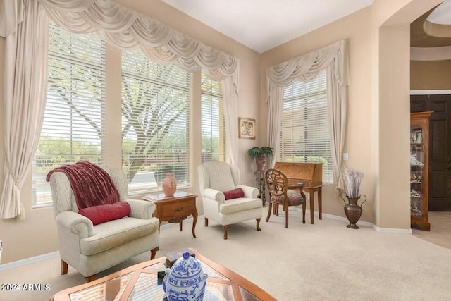 sitting room with a healthy amount of sunlight and carpet flooring