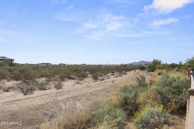 view of local wilderness featuring a mountain view