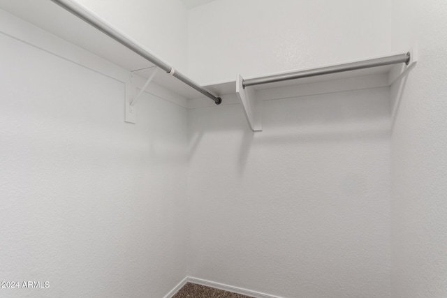 spacious closet featuring carpet