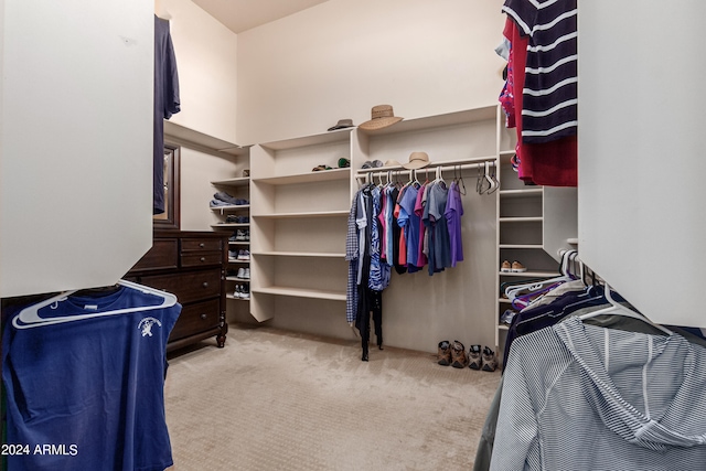 walk in closet with light colored carpet