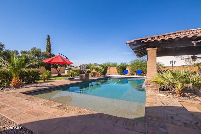 view of pool featuring a patio area