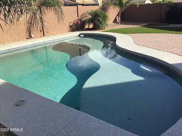 view of swimming pool featuring a patio area