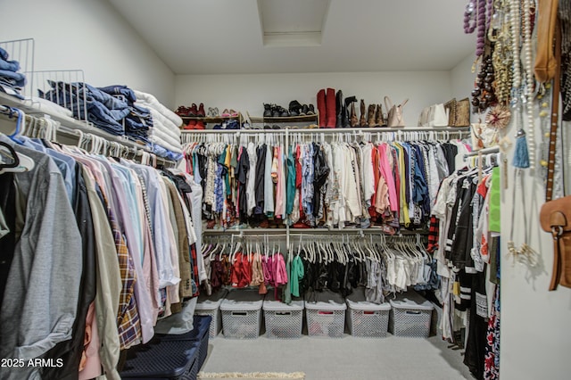 spacious closet featuring carpet and attic access