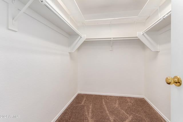 walk in closet featuring carpet floors