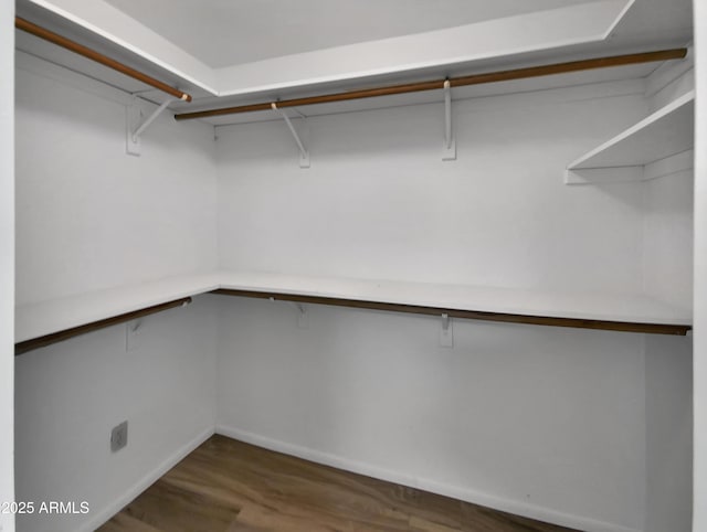 spacious closet with wood finished floors